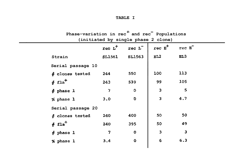 Phase Variation in rec+- Populations